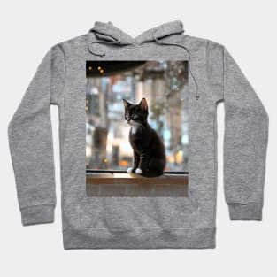 Cute kittens beautiful cats Hoodie